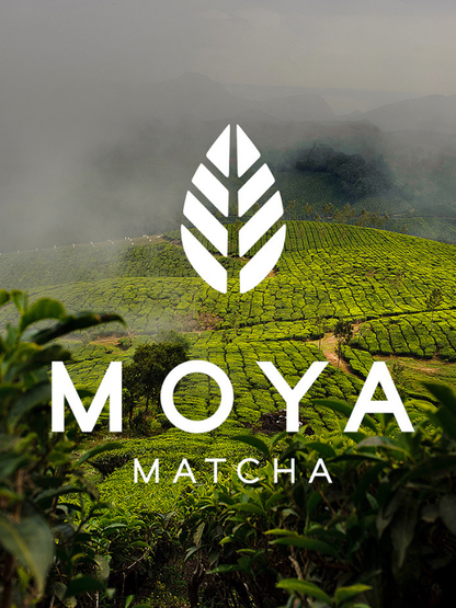 Moya Matcha | Japonská matcha daily BIO 100g